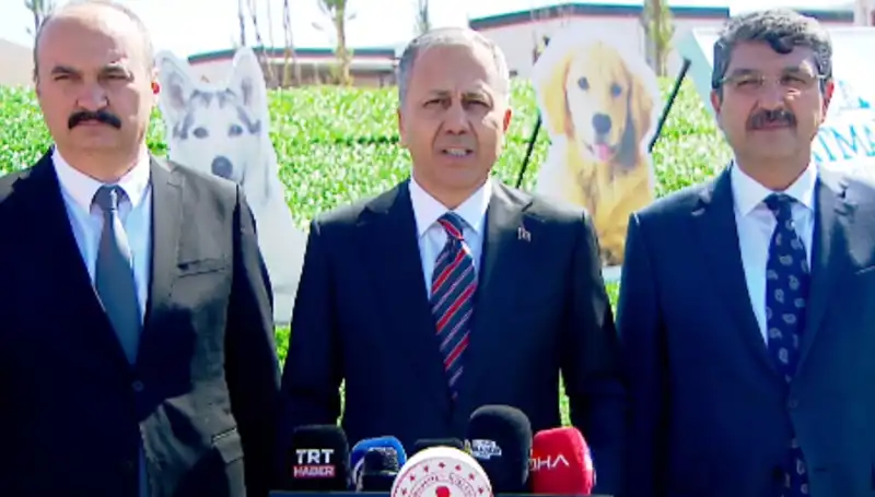 Türkiye Genelinde Sokak Köpekleri Tartışması: İçişleri Bakanlığı'ndan Radikal Adım