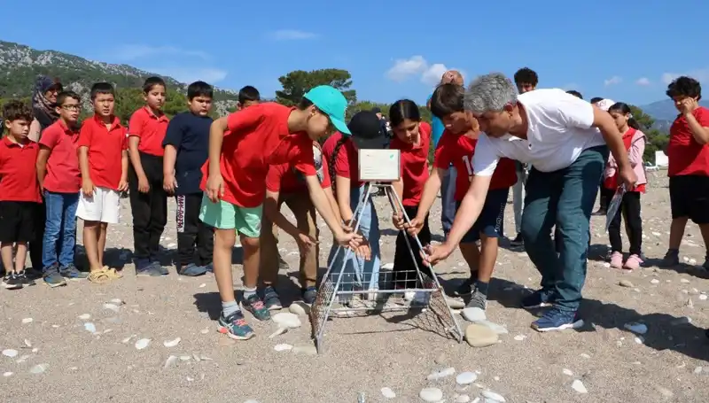 Kemer'de Caretta Caretta Koruma Yasakları Başladı: Yaz Aylarında Neler Olacak?