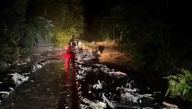 Rize'de Şiddetli Yağış Sonrası Sel Felaketi: Hayat Durma Noktasında!