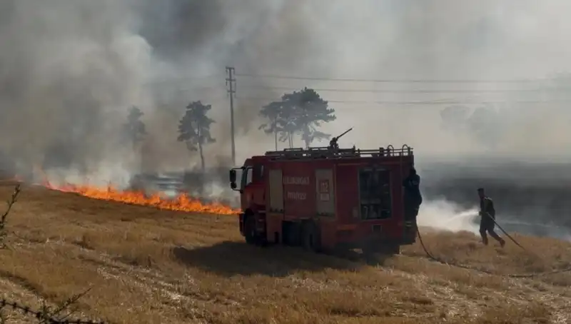 Kırklareli'nde Çıkan Korkunç Anız Yangını, Tarım Alanlarını Tehdit Etti