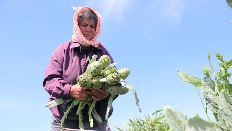 Taze Sebze ve Meyve Fiyatları Kontrol Dışında: Tezgahlarda Tanesi 50 TL!