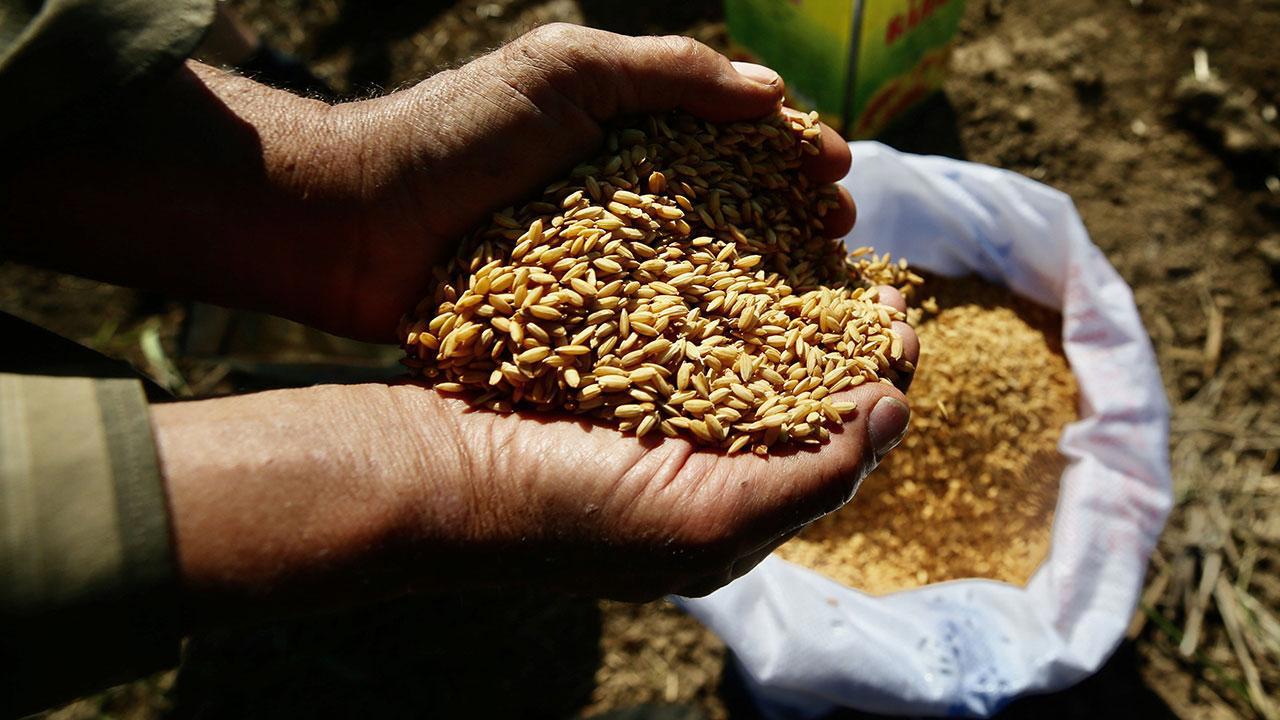 Tarım Kredi Marketlerinde Ata Tohumları Satışa Sunuldu!