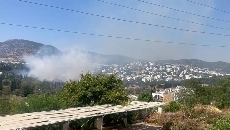 Muğla Orman Yangınları Kontrol Altına Alındı, Ama Tehdit Sürüyor!