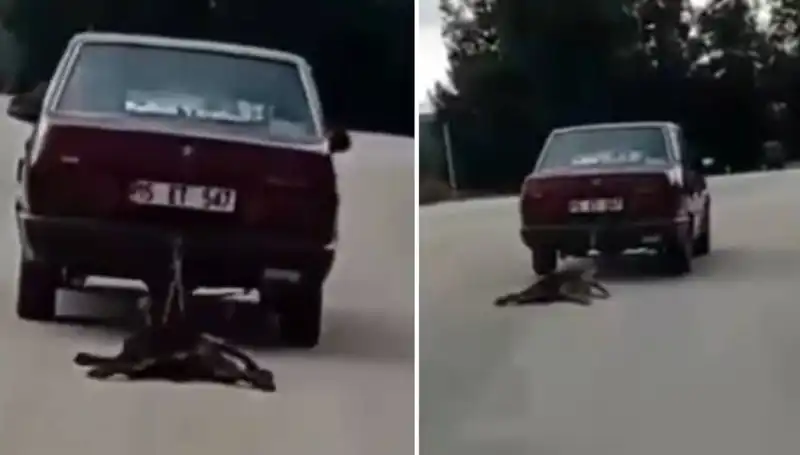 **Köpeğini Sürükleyen Araba, Sosyal Medyada Tepkilere Neden Oldu!**