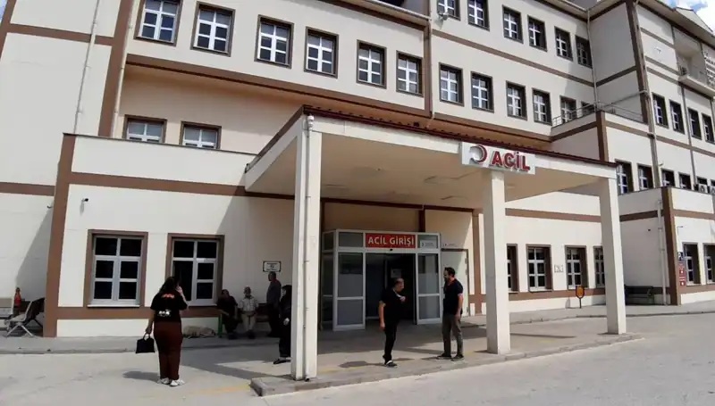 Bolu'da Tartışmalı Ayı Avı Kararı: Doğa Koruma ve İnsan İlişkisi